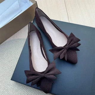Ladies Pointed Toe Ballet Flat Shoes