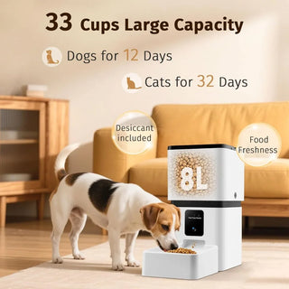 Automatic Easy Setup Pet Food Dispenser
