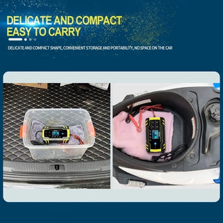 Smart Auto Pulse Repair Charger
