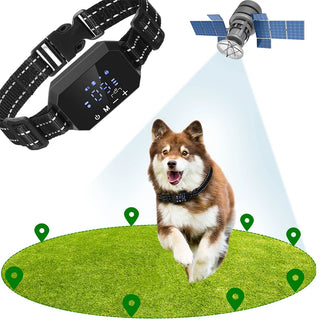 Adjustable Warning Strength Wireless GPS