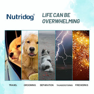 NUTRIDOG Calming Dogs Food for Maintain Healthy Stress Dog Chew Anxiety Relief Theanine&Chamomile Formula  Beef Flavor 30 Chews