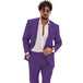 Purple 2PCS