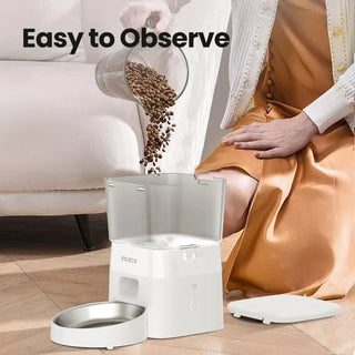 Smart Automatic Cat Food Dispenser