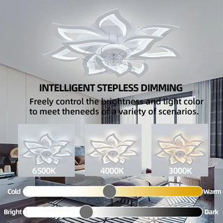 Modern RC LED Ceiling Fan Light