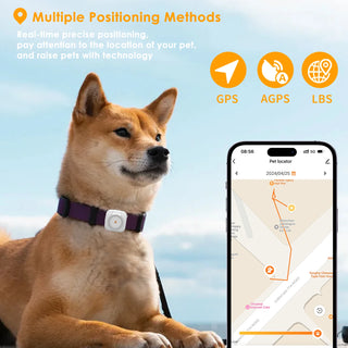 Mini GPS Anti-loss Tracker