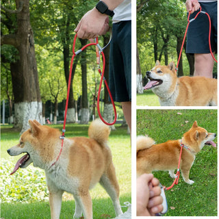 Slip Chains Pet Training Leash