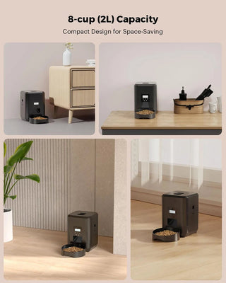 Timely Automatic Pet Feeder - Epictzar Intl.