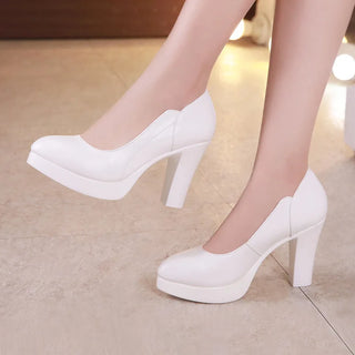 Elegant High Heel Platform Leather Shoe