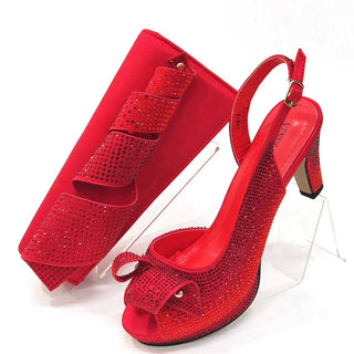 Elegant Design Ladies Shoes And Bag Set