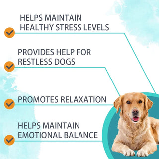 NUTRIDOG Calming Dogs Food for Maintain Healthy Stress Dog Chew Anxiety Relief Theanine&Chamomile Formula  Beef Flavor 30 Chews