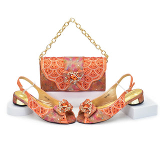 Elegant Designers Shoes & Bags Set