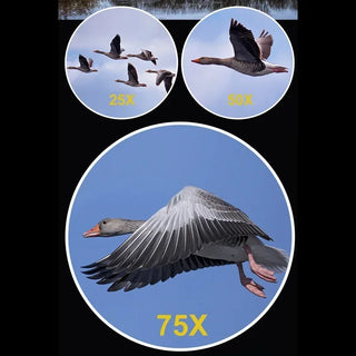 25-75x70 HD Spotting Scope Zoom Monocular BAK7 Prism Waterproof Telescope Spyglass Target Shooting Bird Watching Hunting Camping