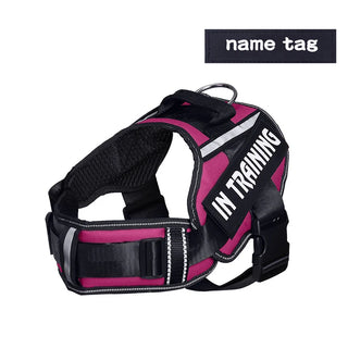 Adjustable Nylon Dog Harness Vest