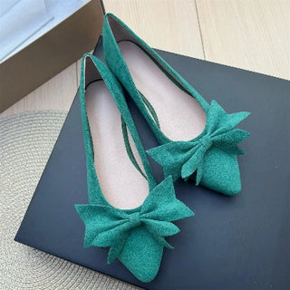 Ladies Pointed Toe Ballet Flat Shoes