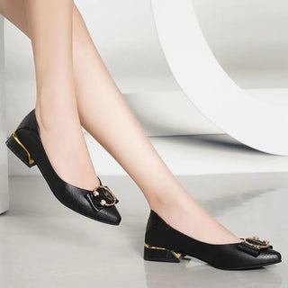 Spring and Autumn Pointed Toe Shallow Woman Pumps Low Heel Elegant Shoes for Women Korean Style High Quality Chic On Offer Shoe