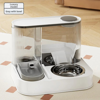 Automatic 2 in 1 Indoor Pet Feeding Bowl