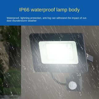 Exterior Hanging Spotlight Wall Lamp