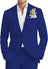 Dark Royal Blue 2pcs