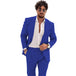 Royal Blue 2pcs