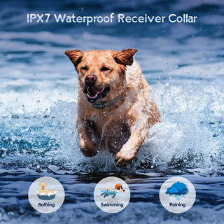 LCD Remote Dog Training Collar