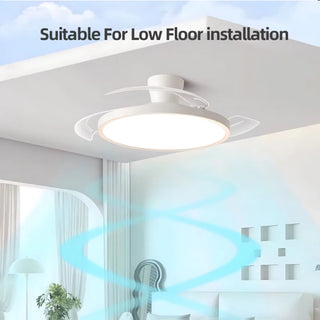 Adjustable Wind Speed Ceiling Fan & LED Light