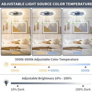 Modern Remote Control Ceiling Fan Light