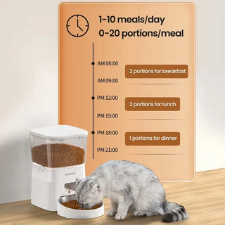 Smart Automatic Cat Food Dispenser