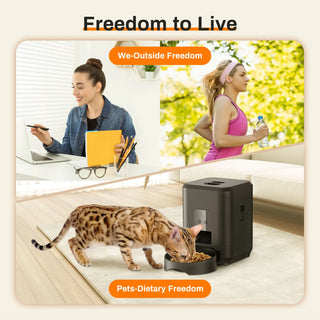Timely Automatic Pet Feeder - Epictzar Intl.