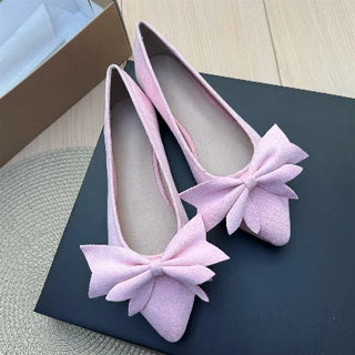 Ladies Pointed Toe Ballet Flat Shoes