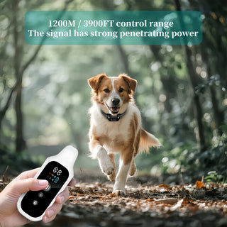 Digital RC Pet Training Collar