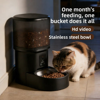 Automatic VC Intelligent Pet Food Dispenser
