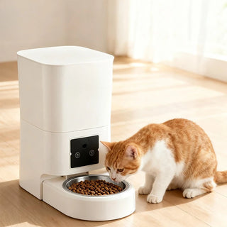 Smart 6L Pet Feeder Automatic Machine