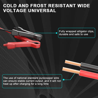 Smart Pulse Repair Battery Charger