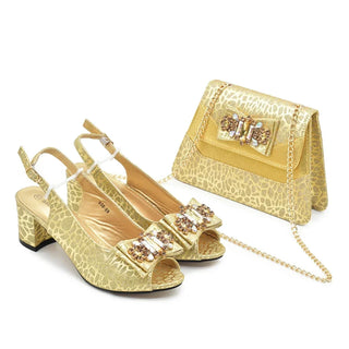 Nigerian Party Shoe & Bag Set