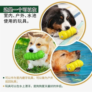 Squeaky Interactive Funny Chew Pet Toys