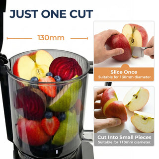 Slow Cold Press Filter-Free Juicer