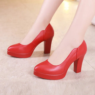 Elegant High Heel Platform Leather Shoe