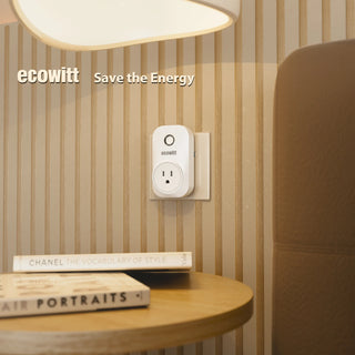 WiFi RC Smart Living Outlet Plug