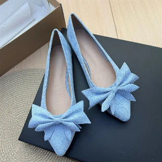 Ladies Pointed Toe Ballet Flat Shoes