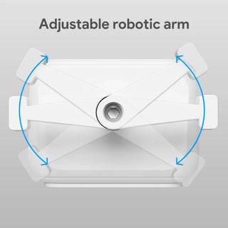 RC Voice Assistant Adjustable Switch