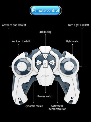 RC Children Gesture Stunt Car Toy