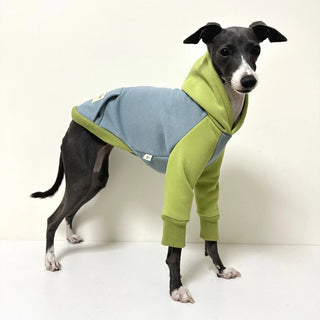Soft Green Fleece Coat for Huibit Dog Clothes Elastic Spring Autumn Sweatshirt for Bedlington Little Greyhound Hooded Pajamas