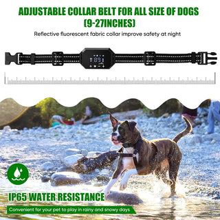 Adjustable Warning Strength Wireless GPS