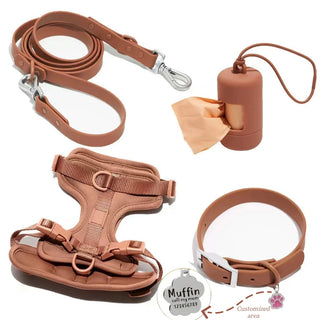 Personalized Pet Leash Pet Harness