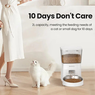 Smart Automatic Cat Food Dispenser