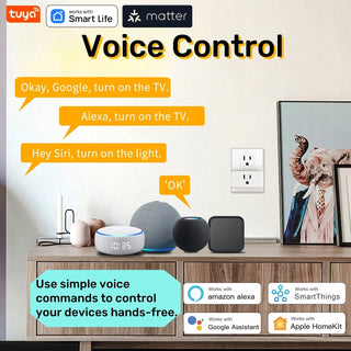 Smart Wireless Voice Control Mini Socket