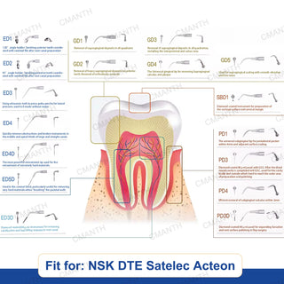 Periodontics Dental Ultrasonic Scaler Tip