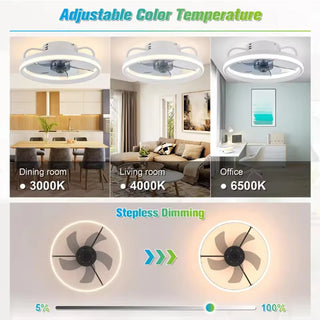 Smart Ceiling Fan LED Light