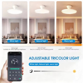 Adjustable Wind Speed Ceiling Fan & LED Light