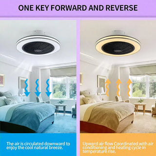 Smart Quiet LED Ceiling Fan Light